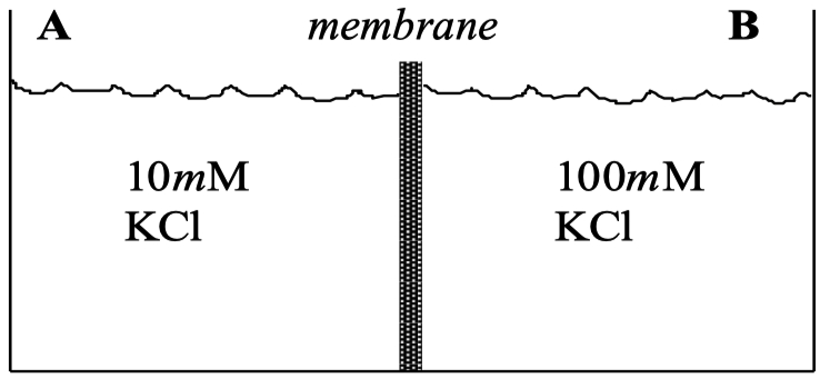 Membrane A = 10 mM KCl || Membrane B = 100 mM KCl