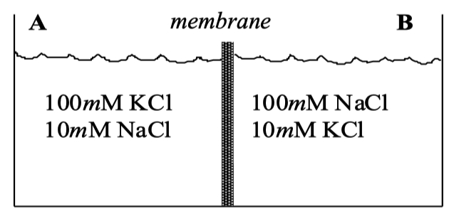 Membrane A = 100 mM KCl and 10 mM NaCl || Membrane B = 10 mM KCl and 100 mM NaCl