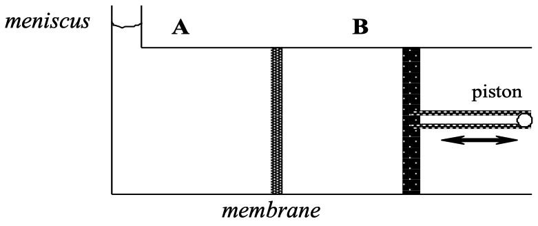 image-20240829163121312