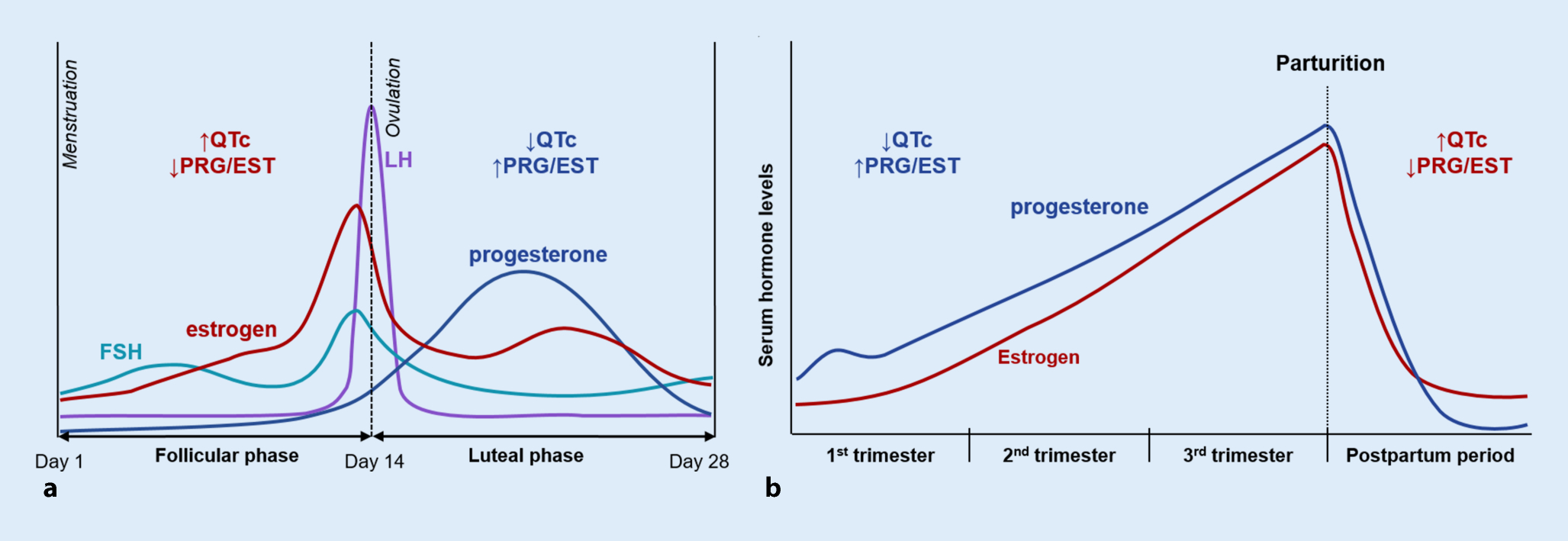 https://media.springernature.com/full/springer-static/image/art%3A10.1007%2Fs00399-021-00757-4/MediaObjects/399_2021_757_Fig1_HTML.png