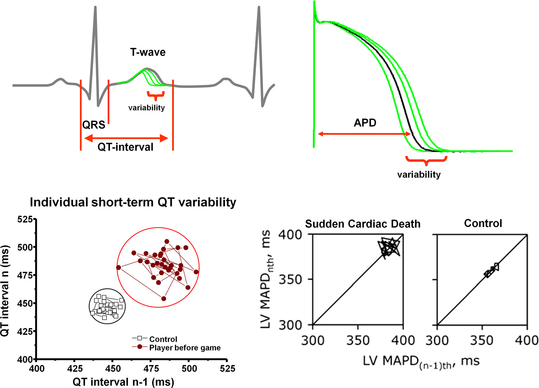 https://journals.physiology.org/cms/10.1152/physrev.00024.2019/asset/images/large/physrev.00024.2019_f0020.jpeg