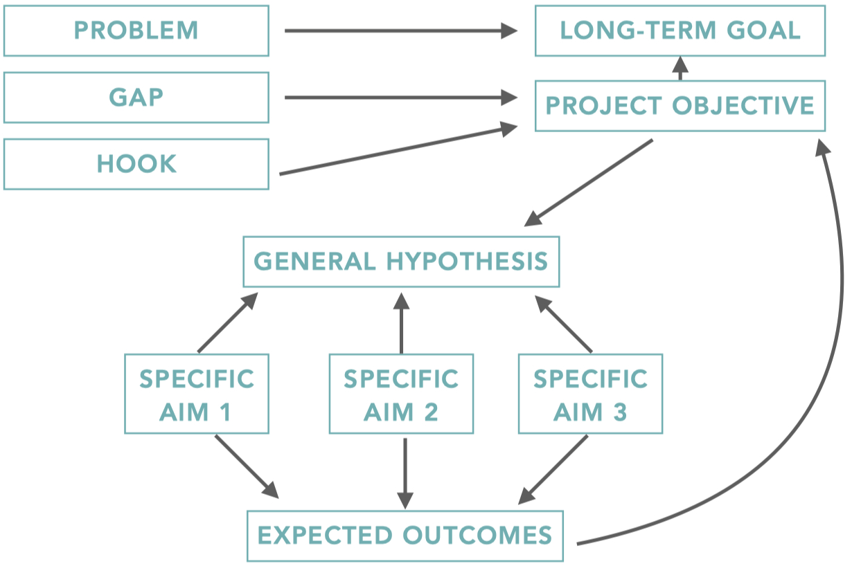 image-20250518165127807